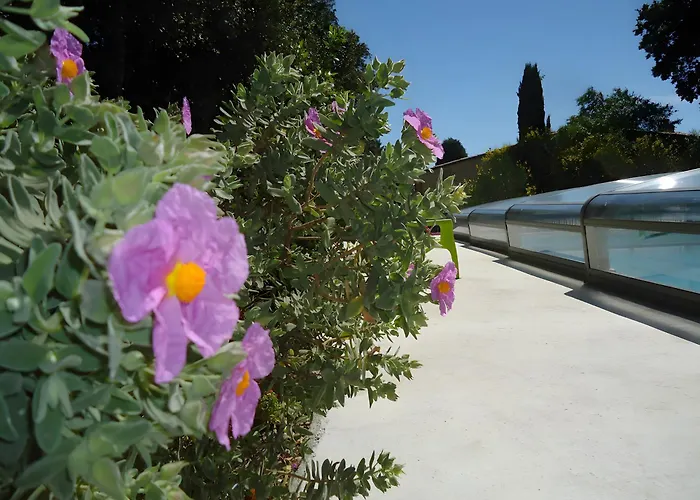 Pellerin *