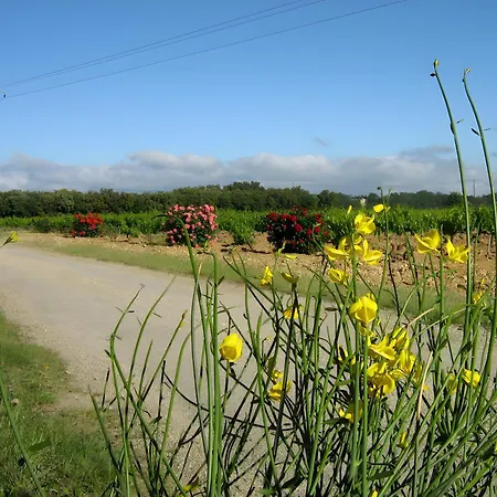 Gite Domaine Viticole, Pellerin Montbrison-sur-Lez