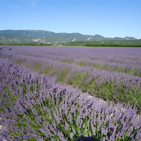 Gite Domaine Viticole, Pellerin Montbrison-sur-Lez